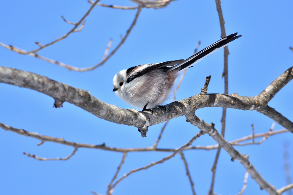 青空がお似合い