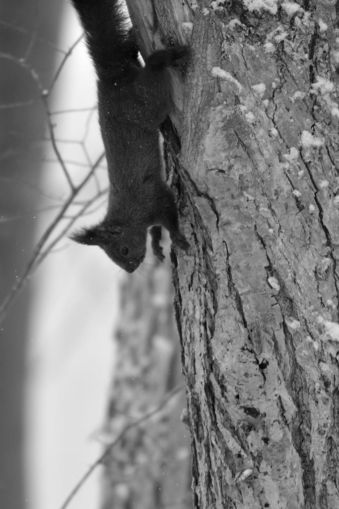 下へ参りま～す