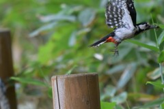 パワフル母さん