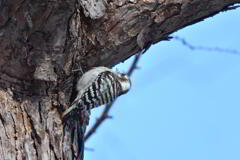 縁の下の力持ち