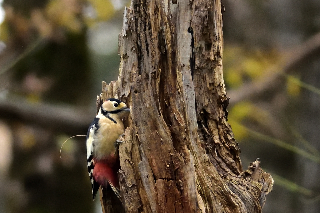 残さず食べよう！