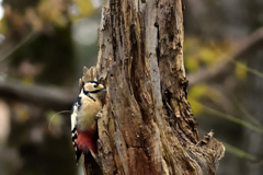 残さず食べよう！