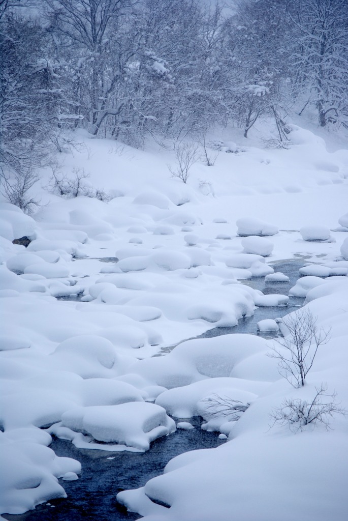 雪の記憶