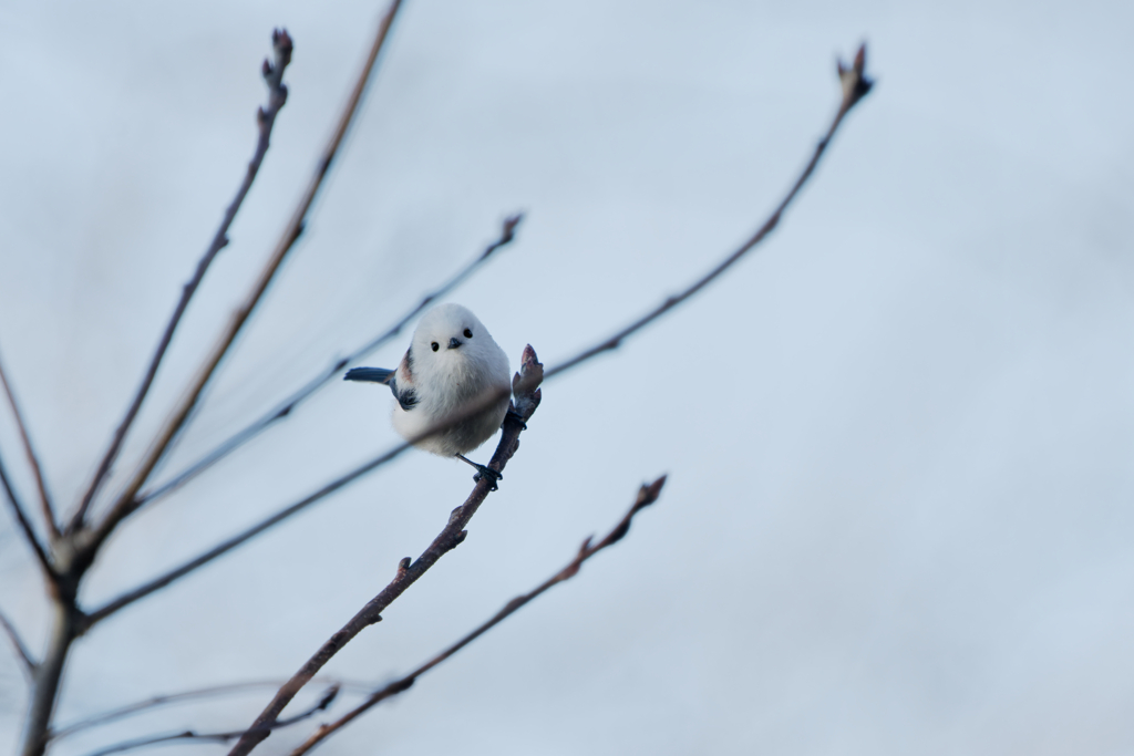 天使にラブソング