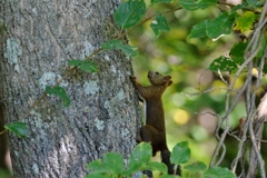 先は長い・・・