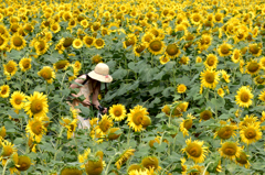 夏に包まれて