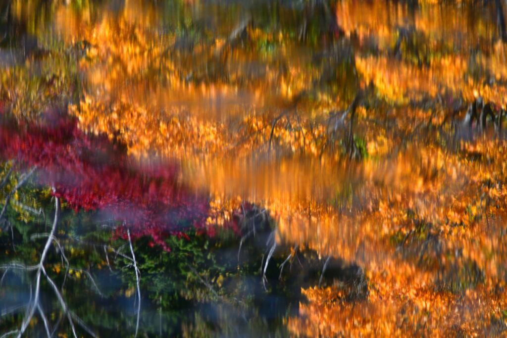 水鏡の秋