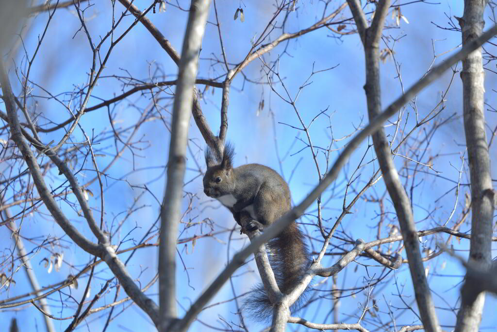 昼休みの過ごし方
