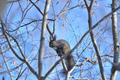 昼休みの過ごし方