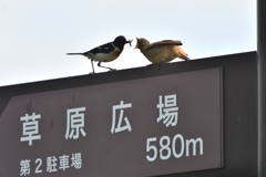 草原広場で朝食を