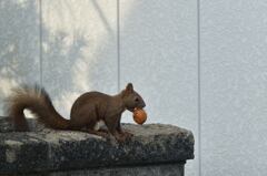 手ごわい相手