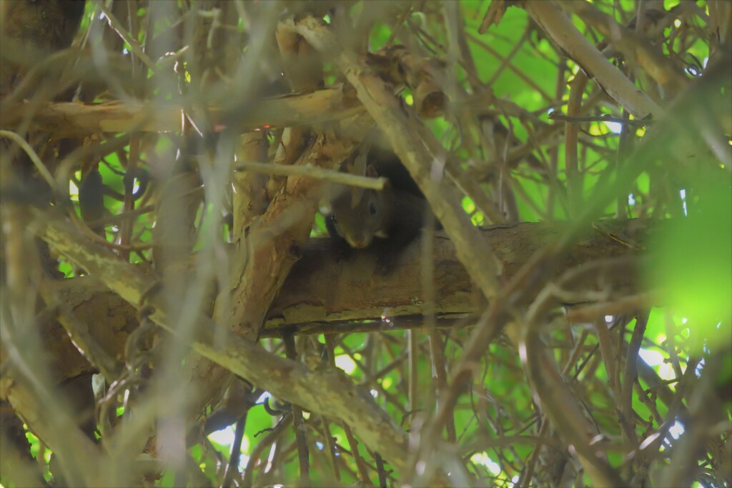 念には念を入れて