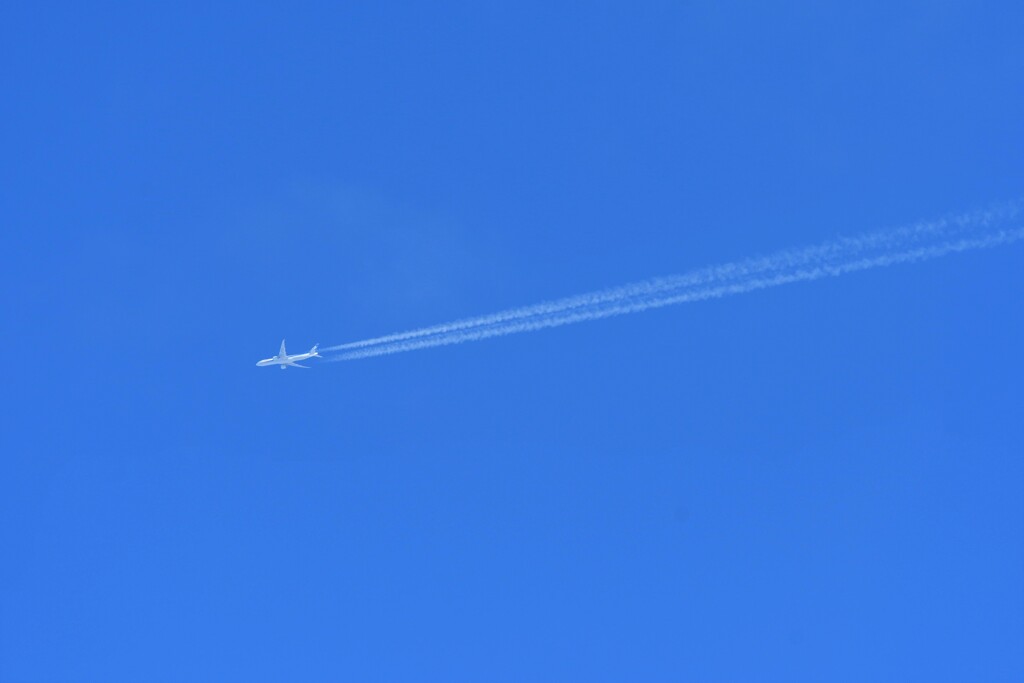 ひこうき雲