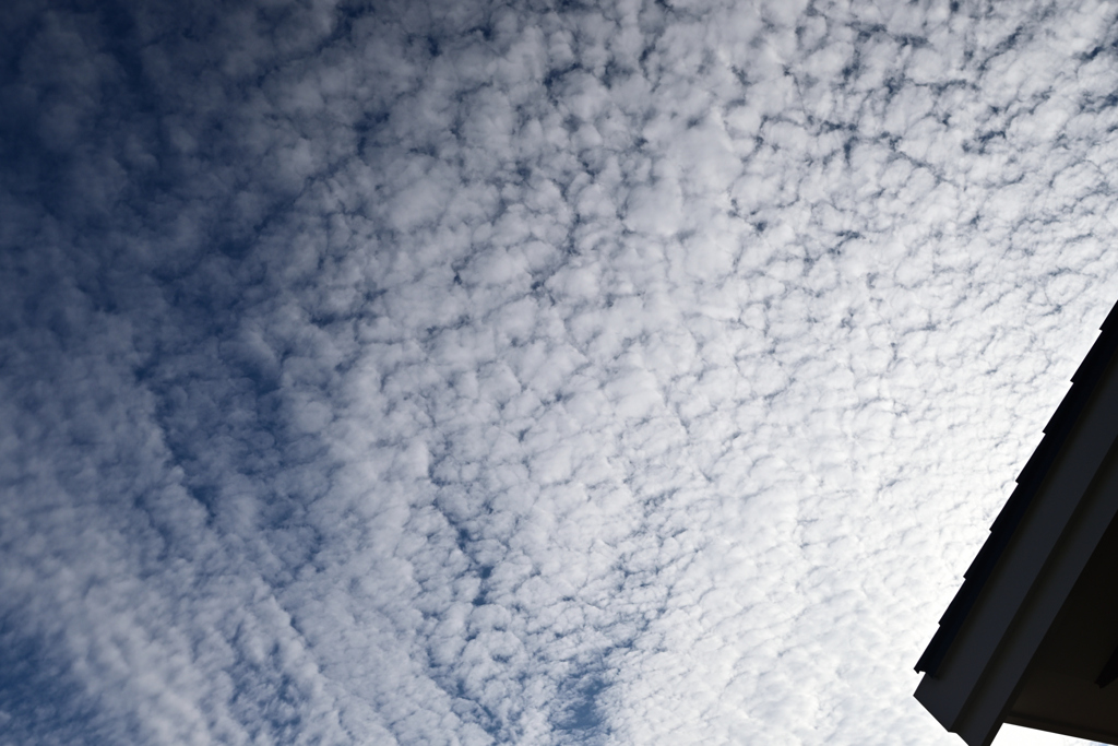 うろこの空