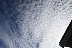 うろこの空