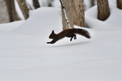 run