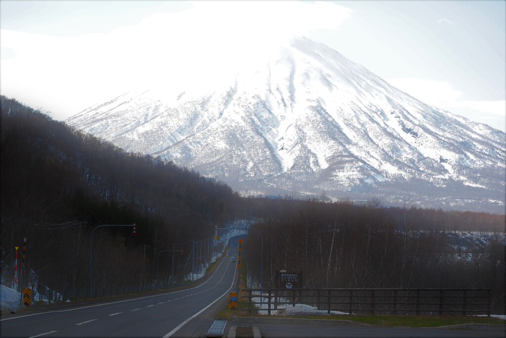 春山賛歌