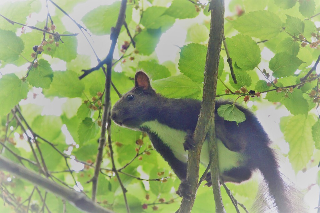 無防備
