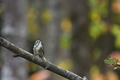 めぐる季節の中で