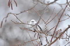 あの日の雪ん子