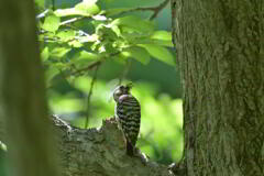 まあまあの収穫