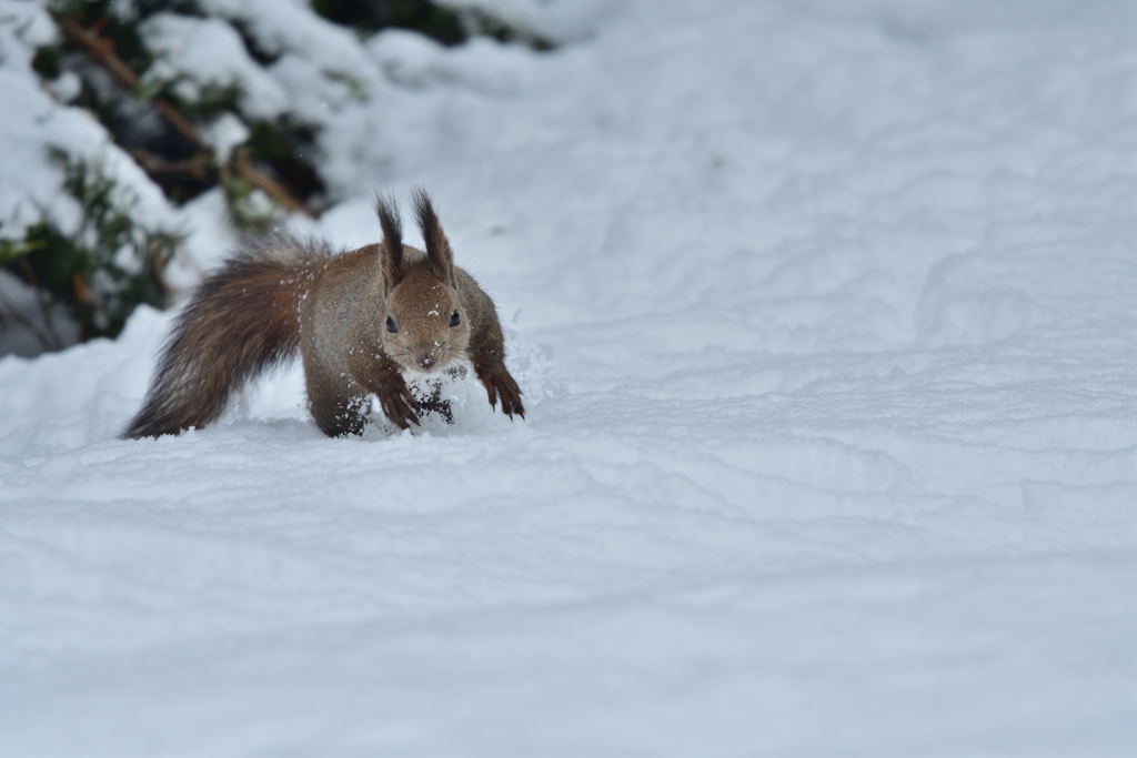 クイックターン