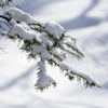 雪、氷