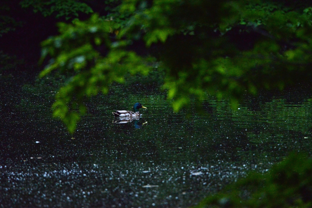 silence