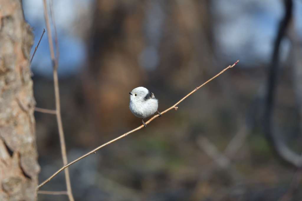小さな雪だるま
