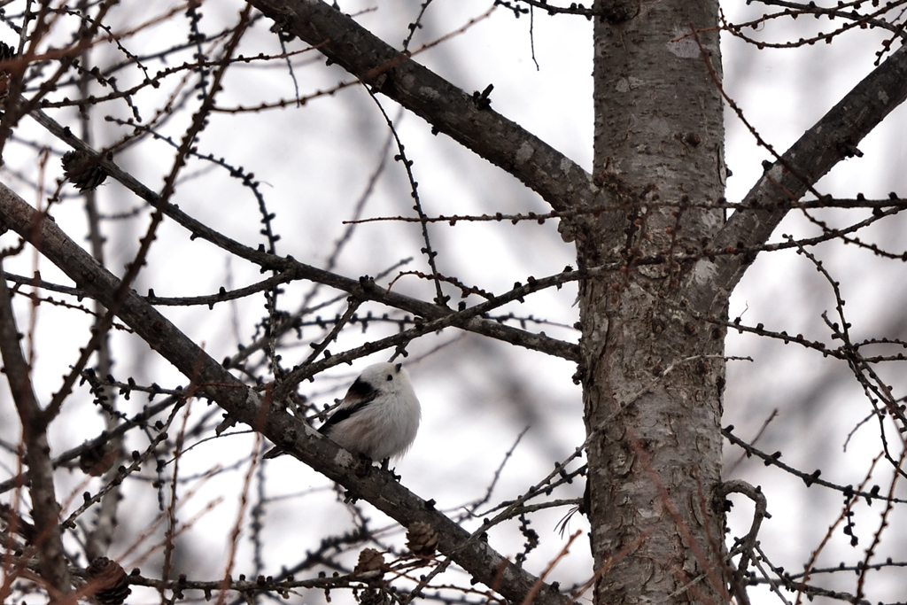 空模様が・・・