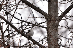 空模様が・・・