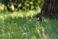 ちょっとだけ猫背