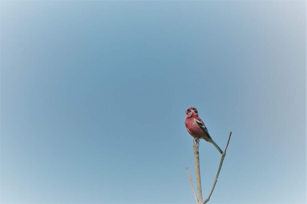 思い出の空