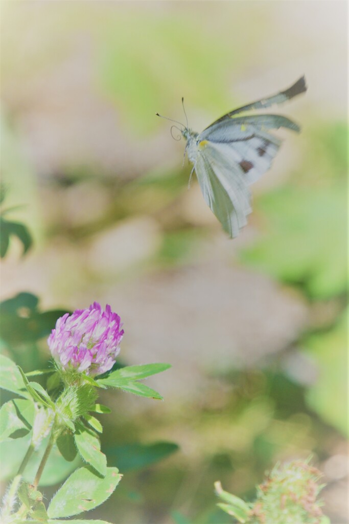 終活