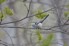 ナイススタイル