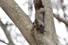 トップアスリート