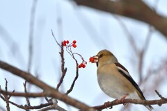 ぐちゃぐちゃ