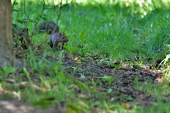 お出かけですか？