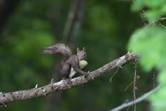朝もテイクアウト