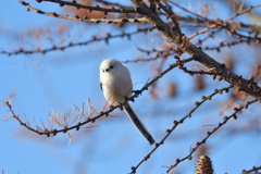 あの日の天使