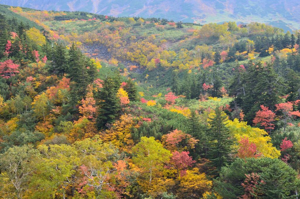 山の秋