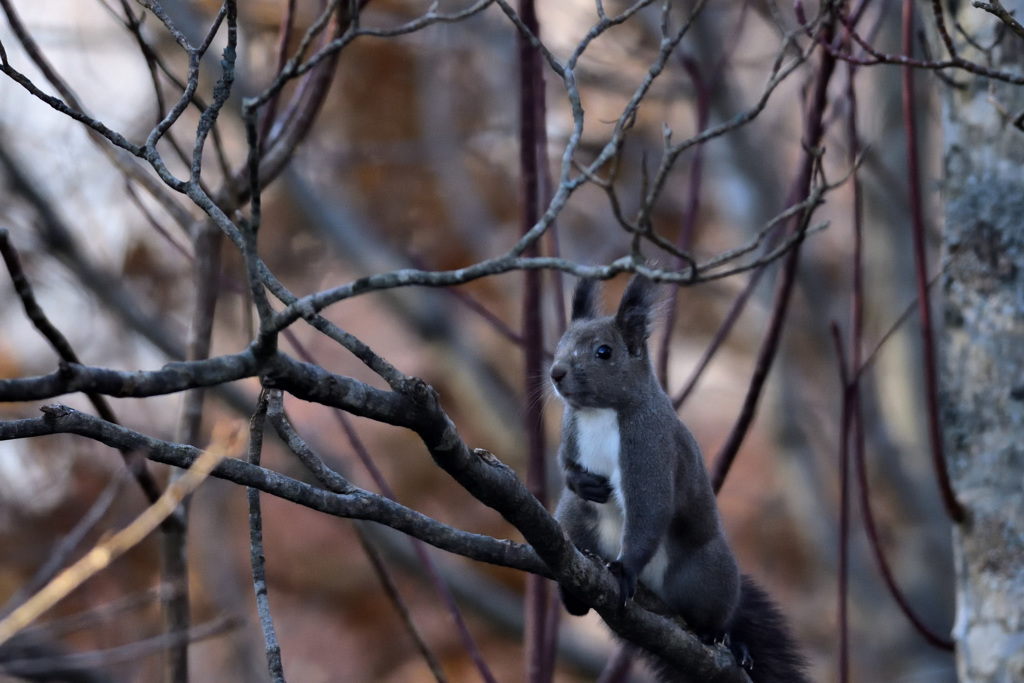 胃の調子が・・・
