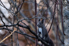 胃の調子が・・・