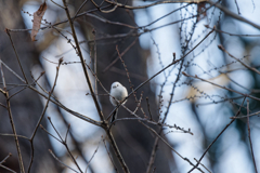 雪ん子の微笑み
