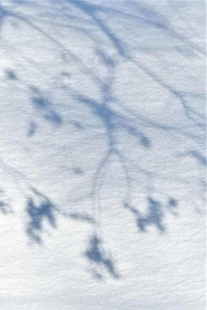 影絵遊び