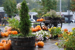 カボチャでおもてなし