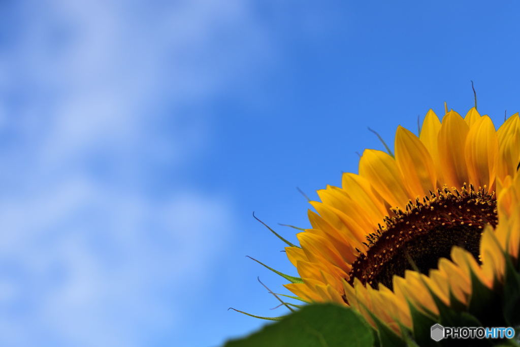 やっぱり青い空