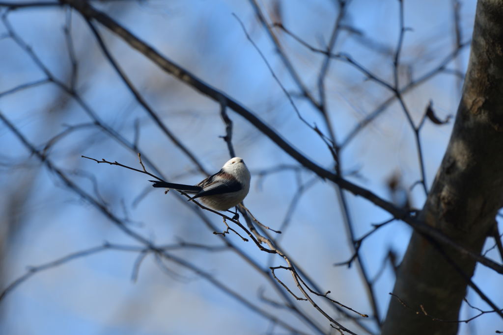 か・い・か・ん