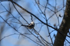 か・い・か・ん