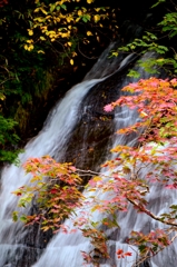 滝は秋景色